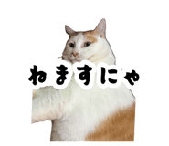 883587356