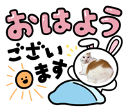 883587357