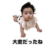 883591165