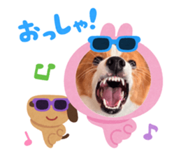 883591618