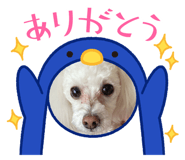 883594374