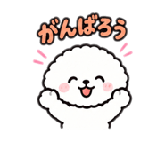 883595797