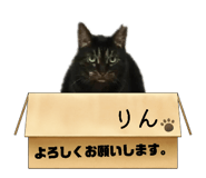 883597185