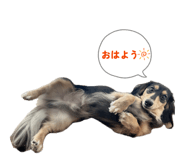 883605977