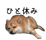 883609041