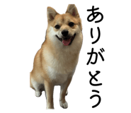 883609043