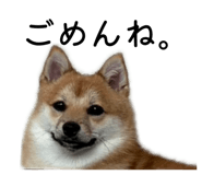 883609044