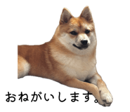 883609046
