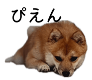 883609047