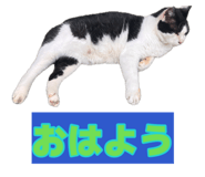 883610495