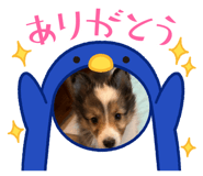 883611437