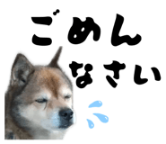 883619992