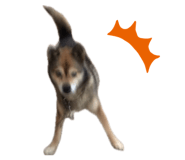 883619993