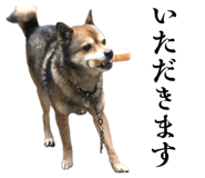 883619997