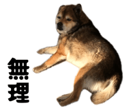 883620004