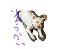 883620122