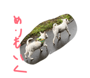 883620124