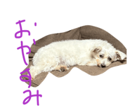 883620130