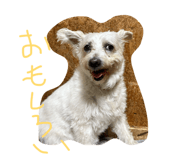 883620134