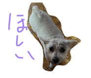 883620135