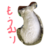 883620137