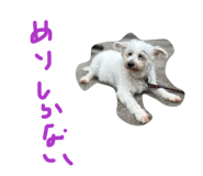883620138