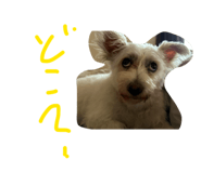 883620139