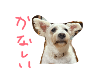 883620142