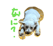 883620145