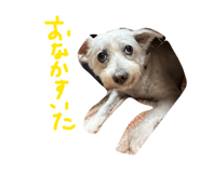 883620146
