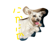 883620147