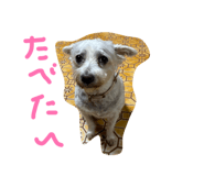 883620152