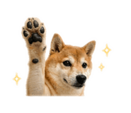 883622982