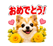883623540