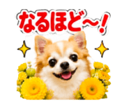 883623544