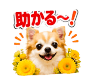 883623546