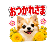 883623552