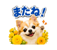883623554