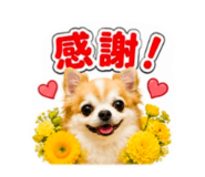 883623557