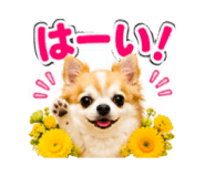 883623561