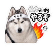 883624875