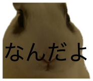883624900