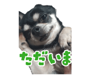 883625846