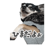883625851