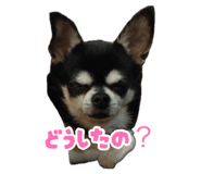 883625860