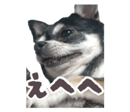 883625864