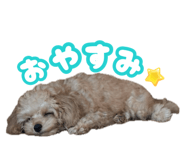 883625970