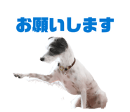 883627376