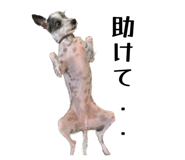 883627377