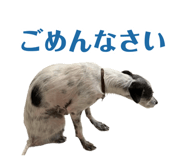 883627389
